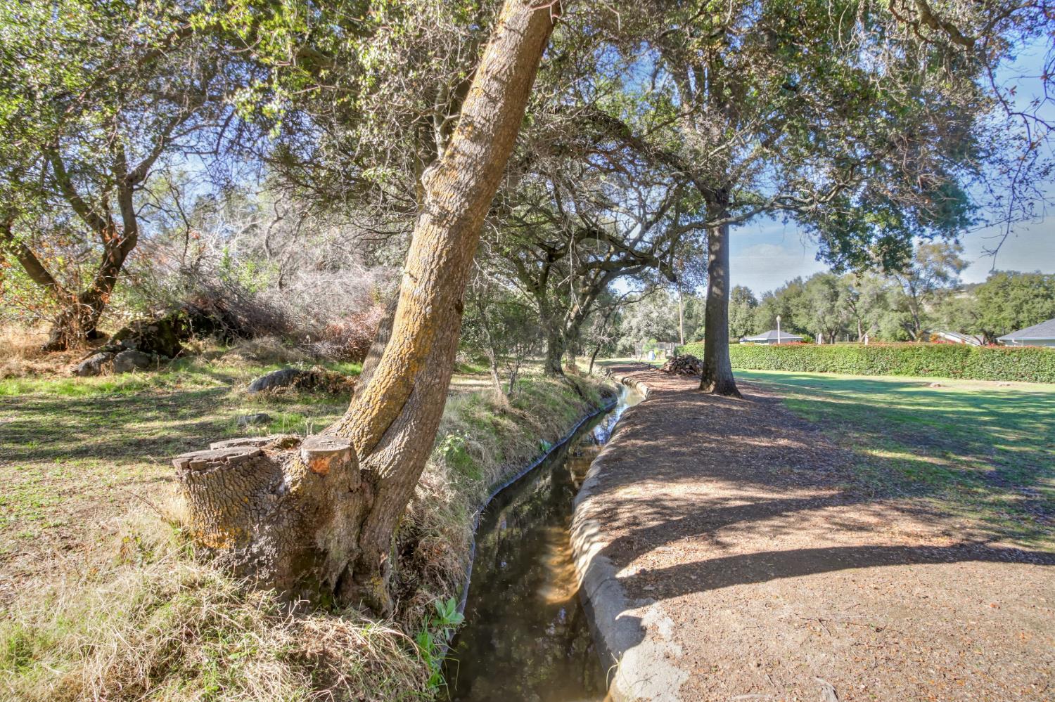 3140 Brennans Road Loomis, CA 95650 - Photo 35 of 45 a view of a yard with a tree