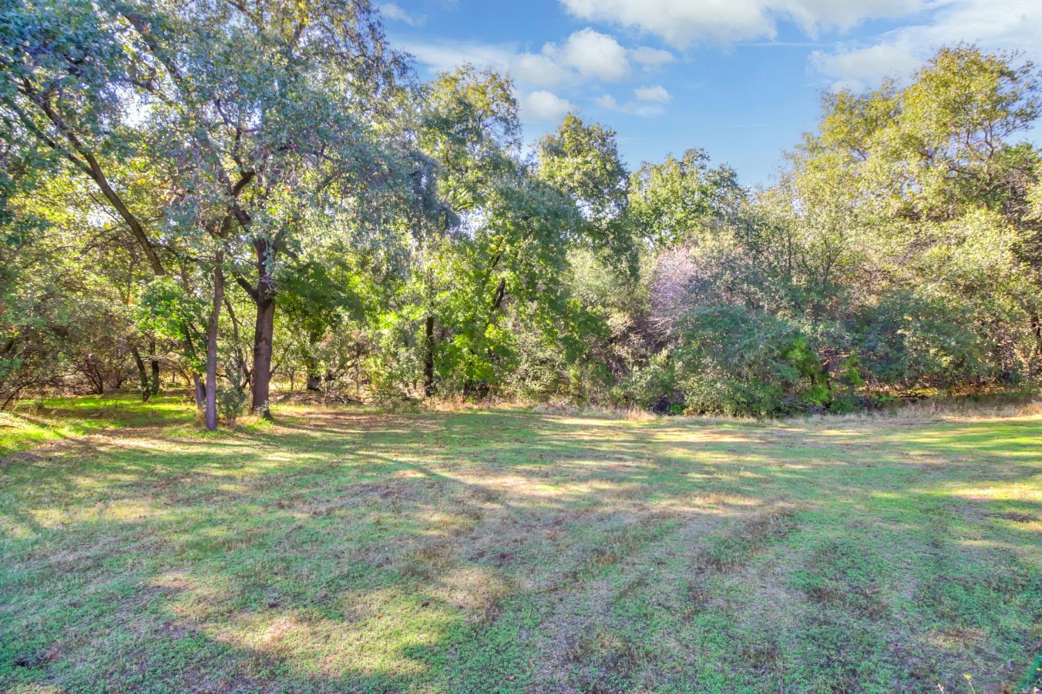 3140 Brennans Road Loomis, CA 95650 - Photo 37 of 45 a view of a field with trees