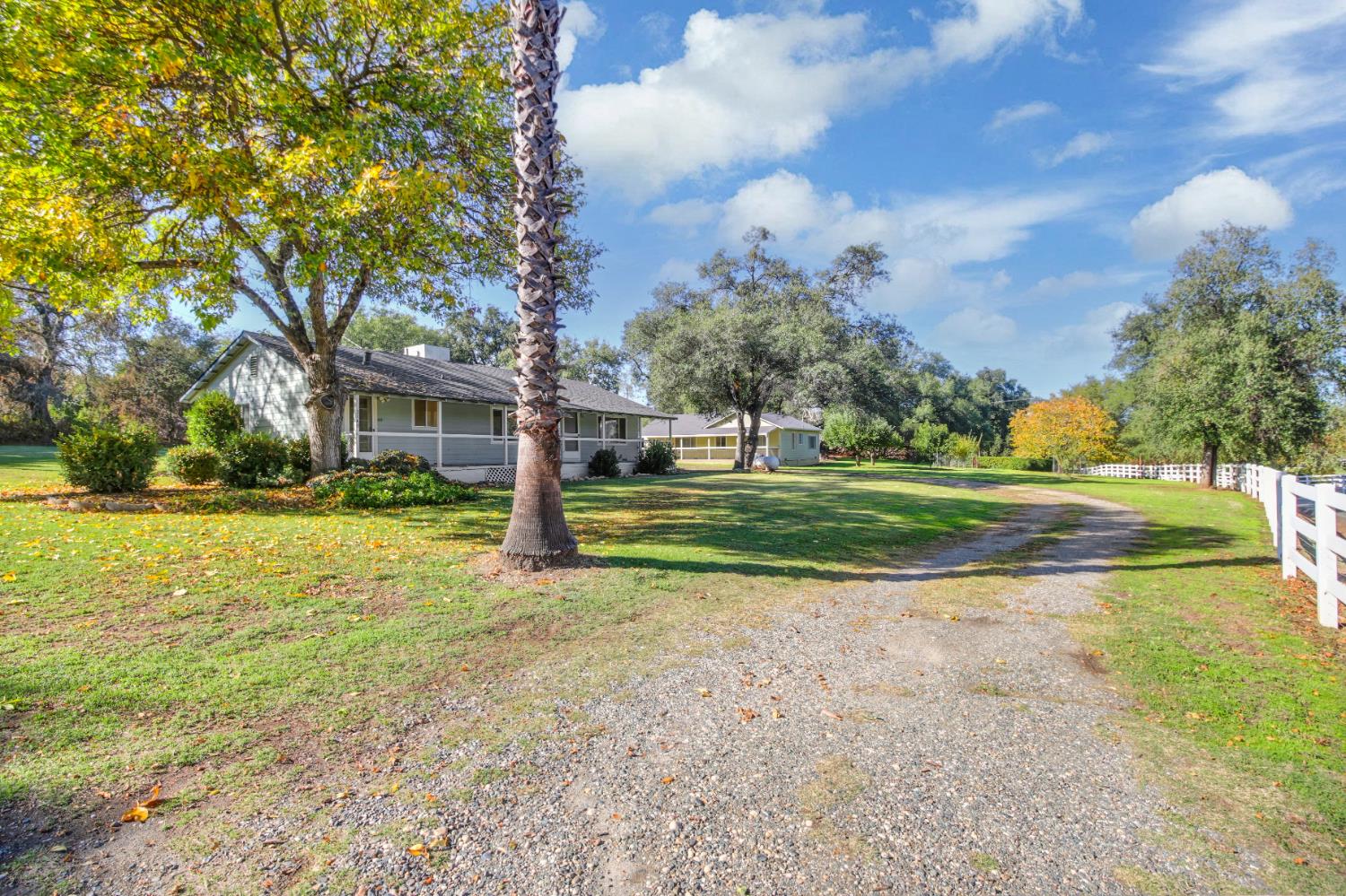 3140 Brennans Road Loomis, CA 95650 - Photo 44 of 45 a view of a park with large trees