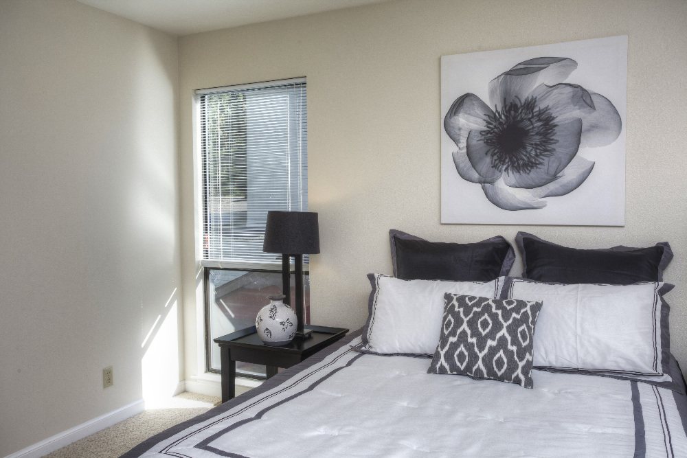 169 Winona Avenue Pacifica, CA 94044 - Photo 15 of 43