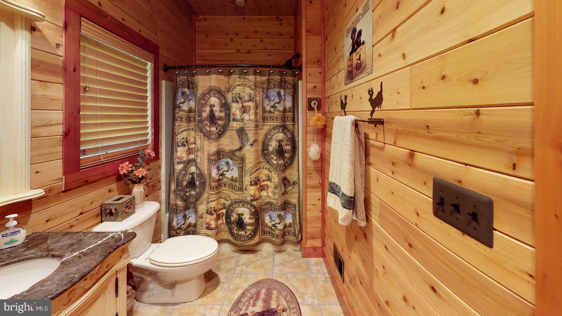 14614 Snake Castle Road Sumerduck, VA 22742 - Photo 41 of 103 Basement bathroom