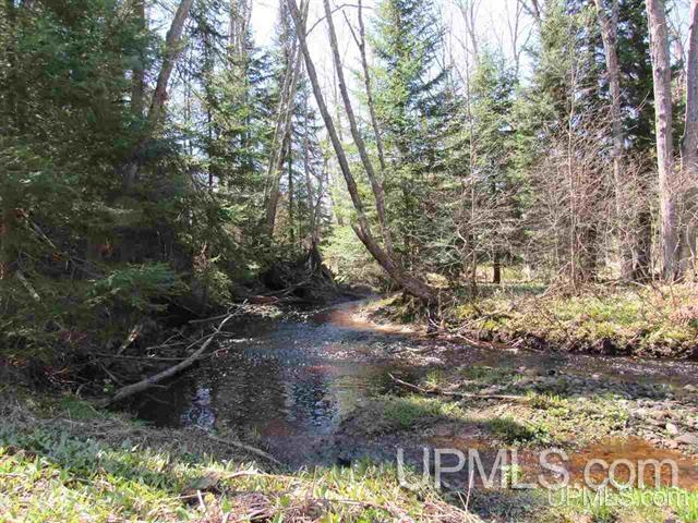 Tbd Off Rice Lake Road, Unit NO DRIVE BYS Lake Linden, MI 49945 - Photo 38 of 40