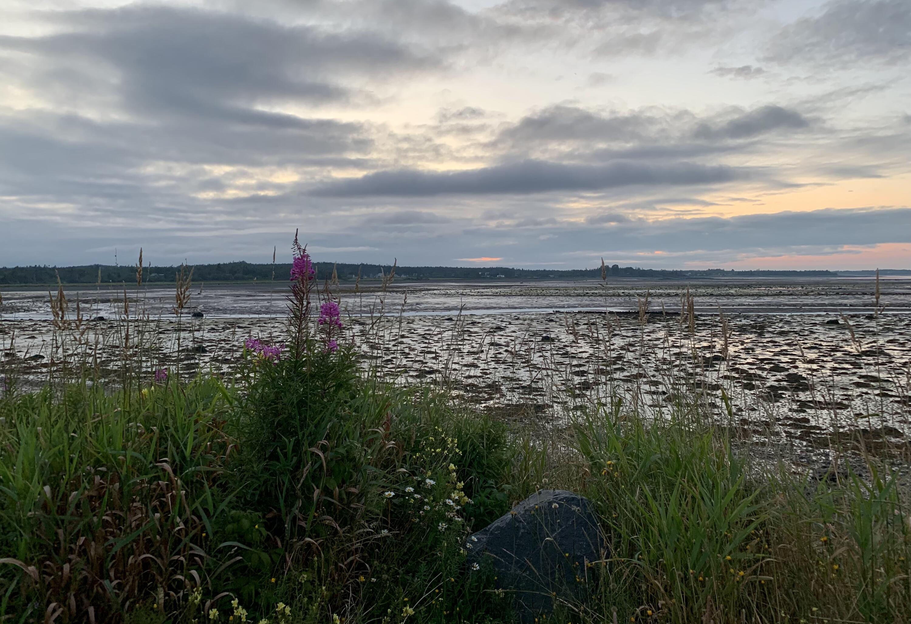 6 Cecelias Way Lubec, ME 04652 - Photo 59 of 64 IMG_1554
