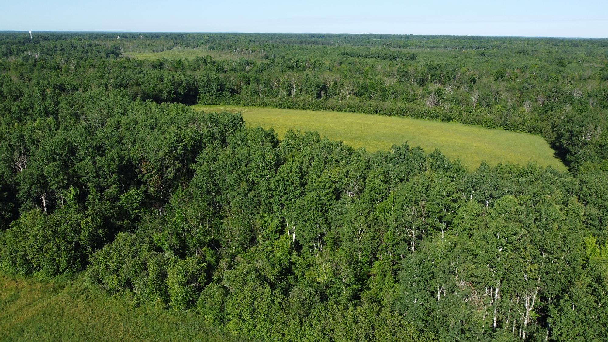 N6581 Homestead Road Hawkins, WI 54530 - Photo 19 of 61 Gallery Image 19