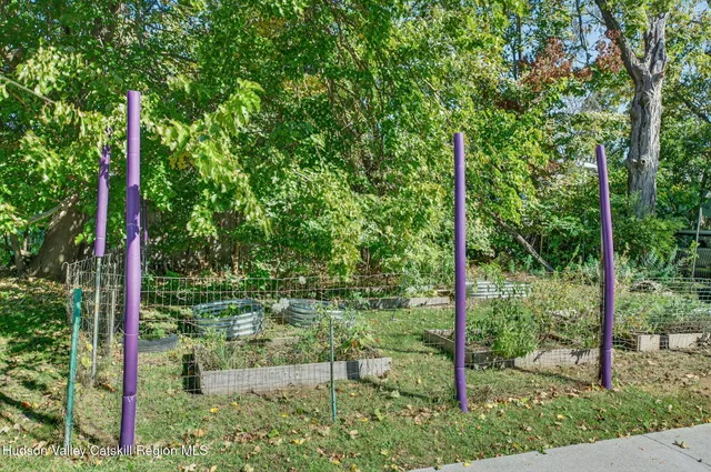 a view of a yard with a tree