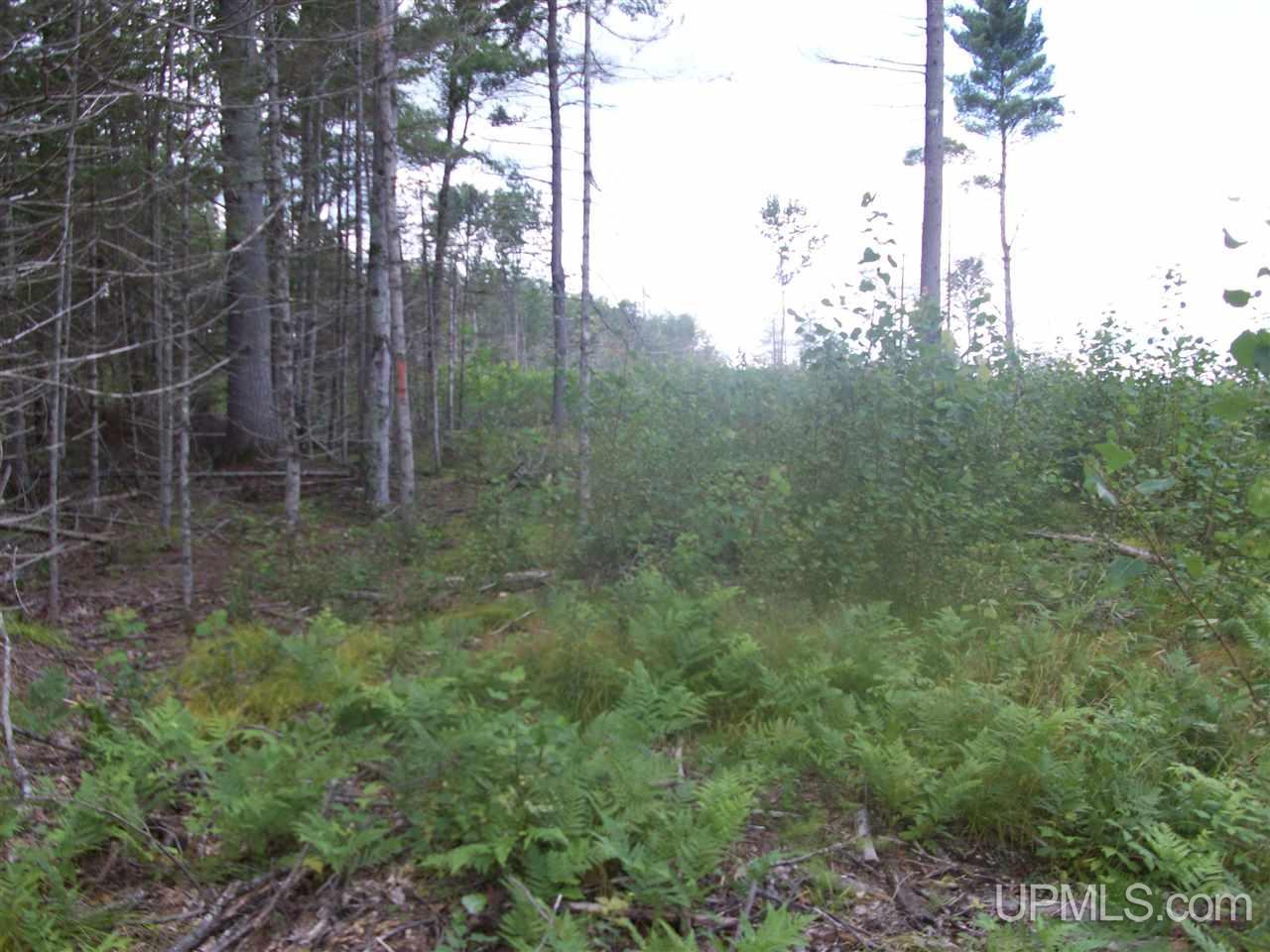 Tbd Off Co Rd 577 Carney, MI 49812 - Photo 3 of 7