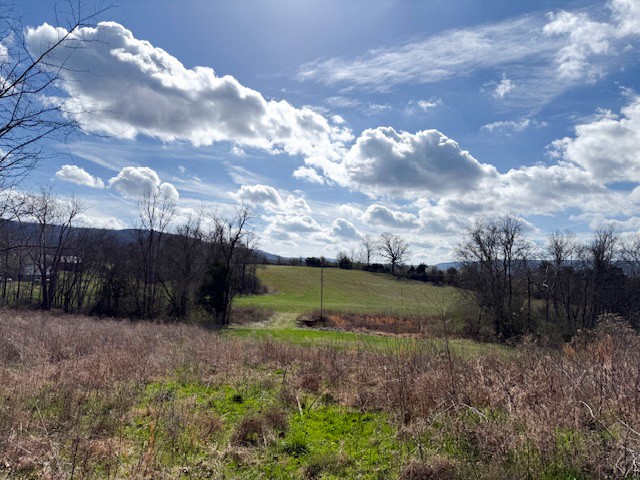 100 Bud Cantrell Road Morrison, TN 37357 - Photo 3 of 3 a view of a backyard