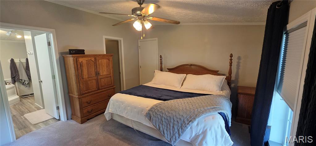 18371 Perry Road Pittsburg, IL 62974 - Photo 30 of 61