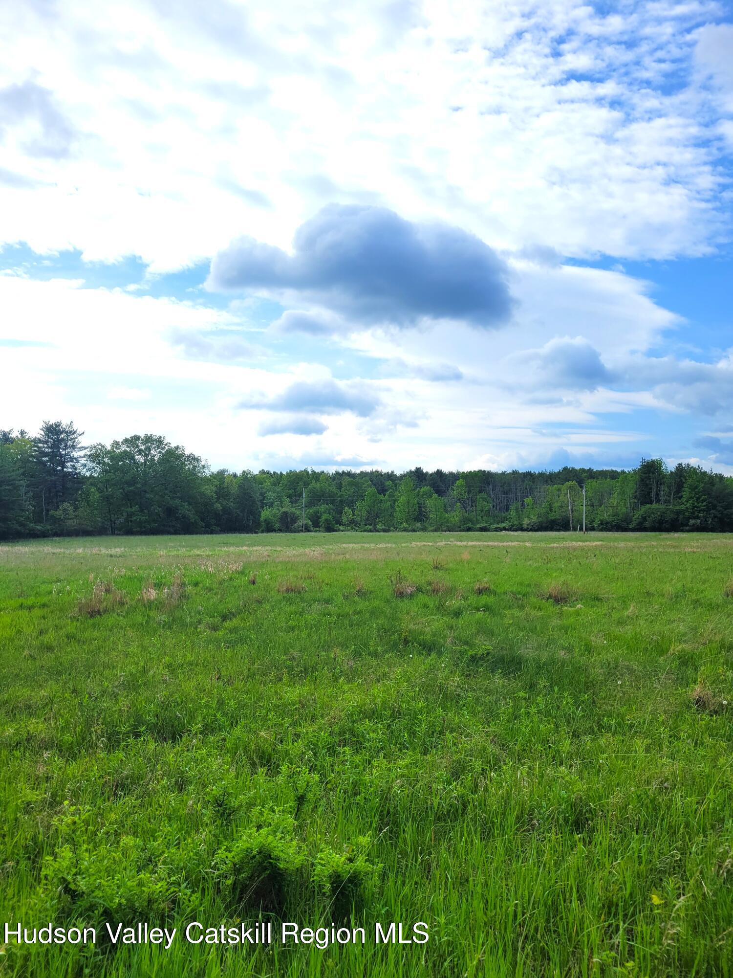 L13 Mackey Road Greenville, NY 12083 - Photo 11 of 13 20260520_093711