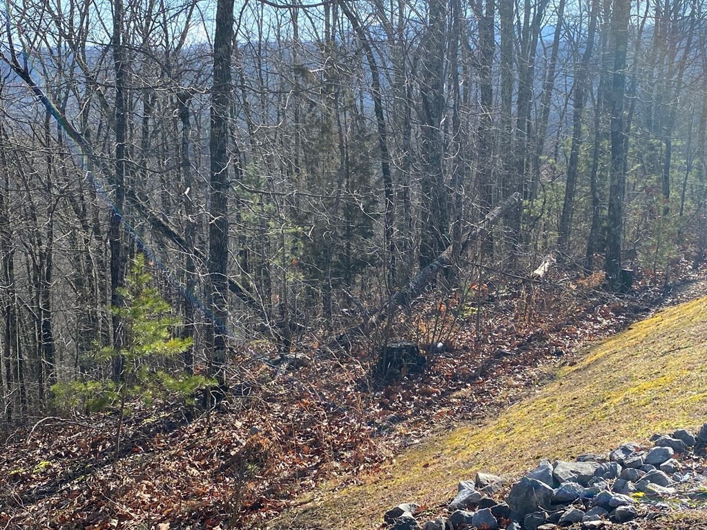 1829 Pinestand Rdg Way Sevierville, TN 37862 - Photo 3 of 7