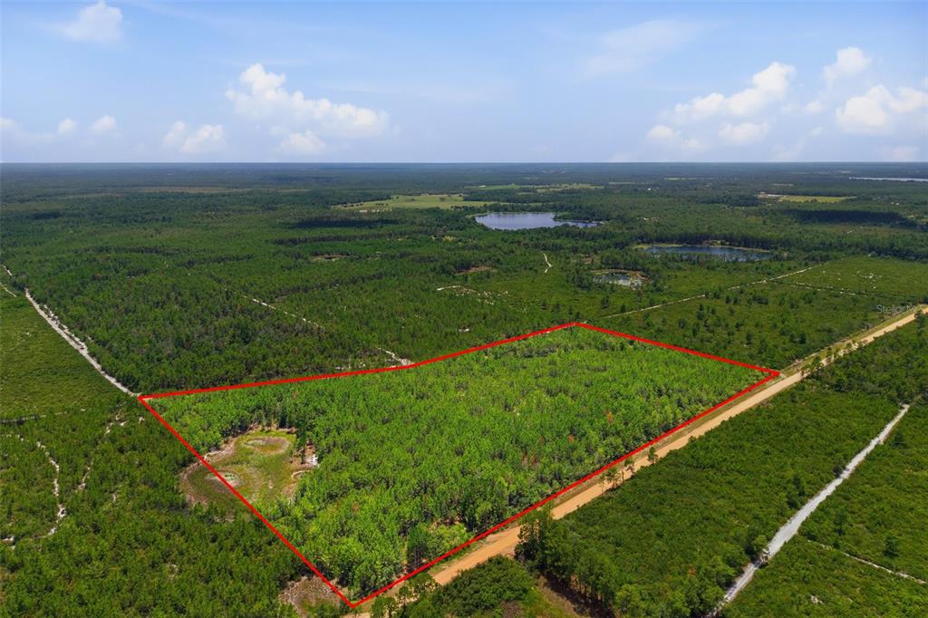 70 Maggie Jones Road Eustis, FL 32736 - Photo 9 of 10