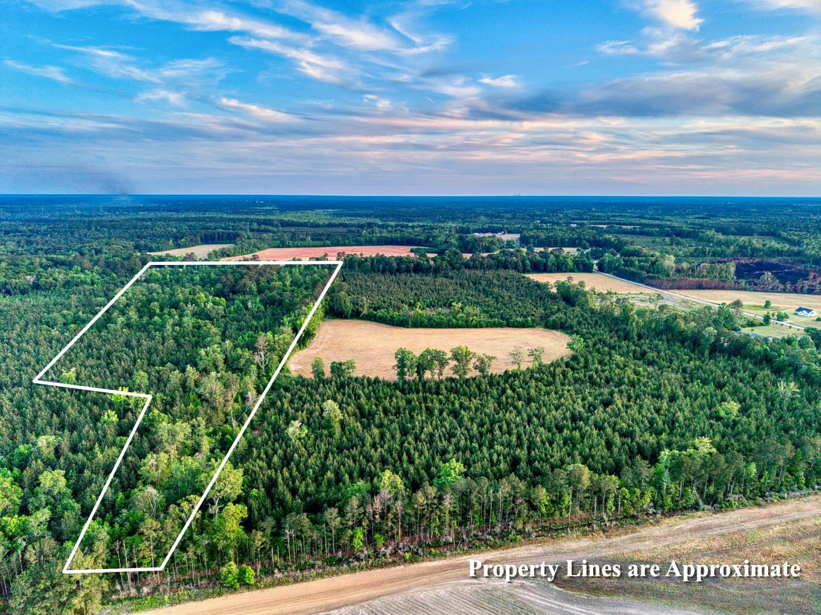 240 Guess Road Greeleyville, SC 29056 - Photo 1 of 4