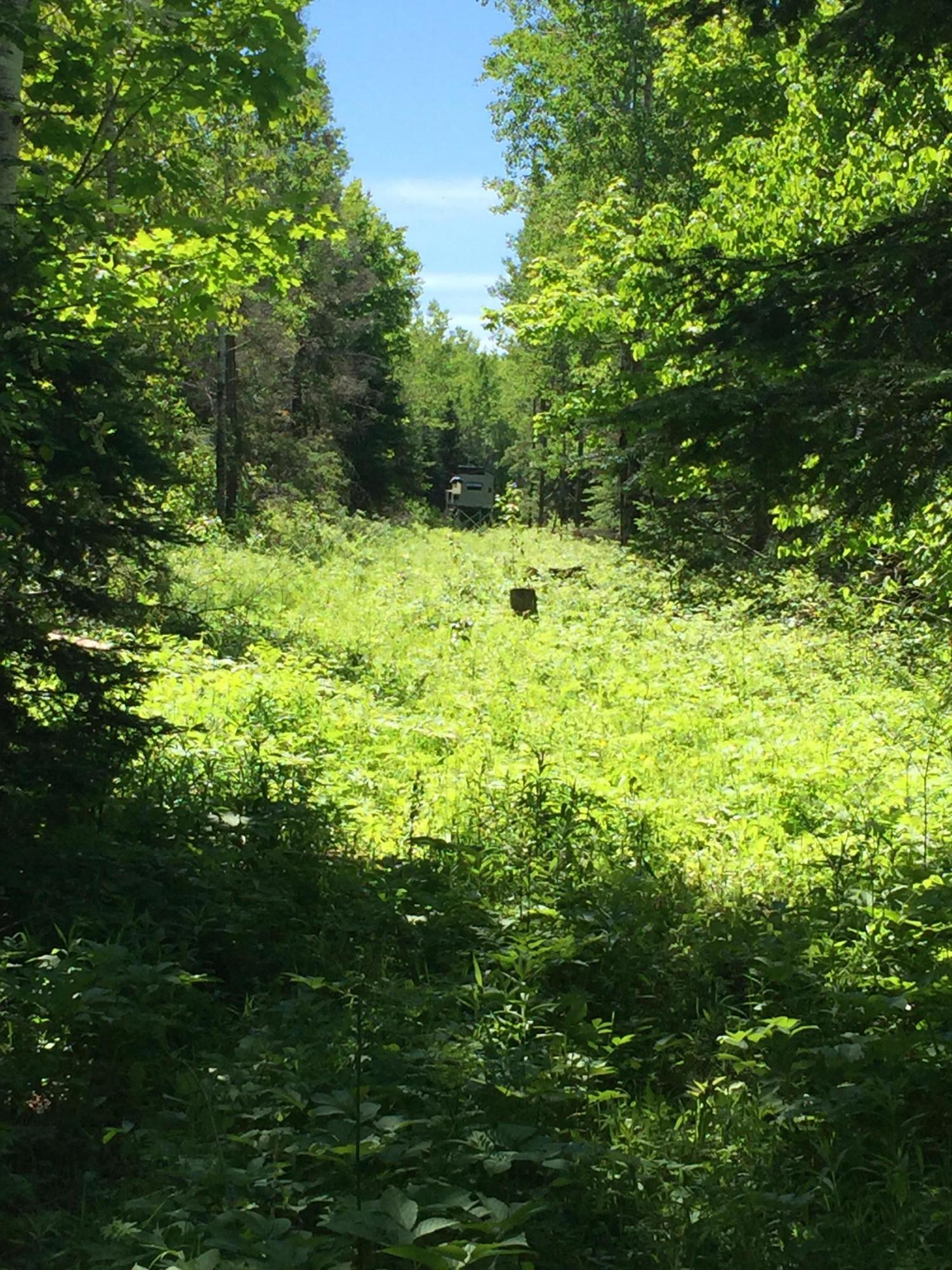 23 East 23 Mile Road Pickford, MI 49774 - Photo 15 of 19 Gallery Image 15