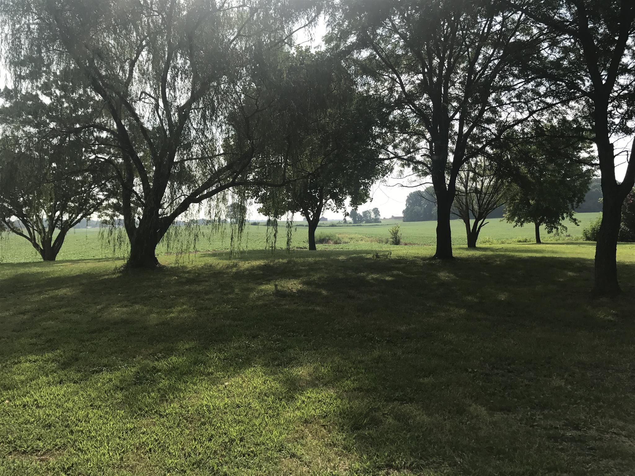 5925 Fulton Road Springfield, TN 37172 - Photo 17 of 18 a view of grassy field with trees