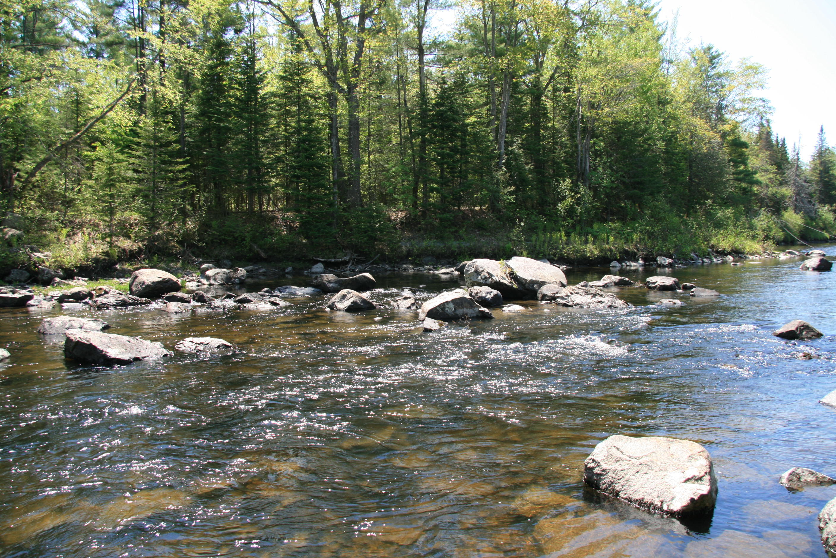 2 River Road Abbot, ME 04406 - Photo 5 of 25 IMG_7980