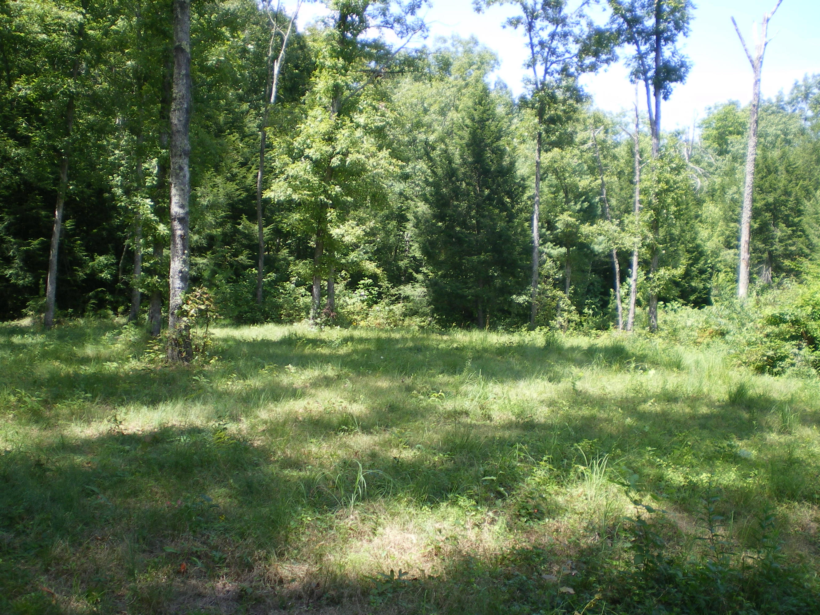 Cedar Ridge Road Jamestown, TN 38556 - Photo 1 of 13 IMGP0004