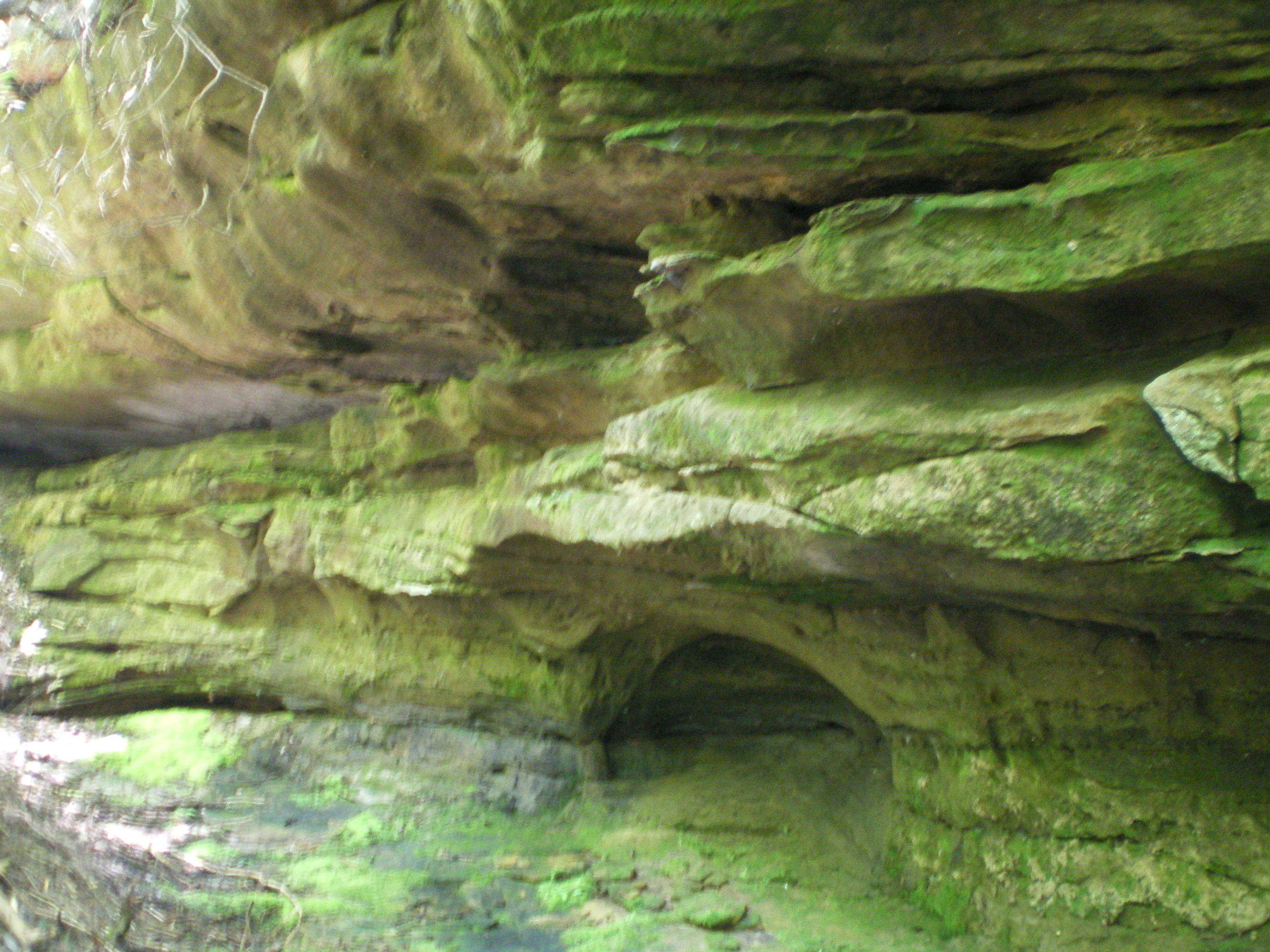 Cedar Ridge Road Jamestown, TN 38556 - Photo 13 of 13 IMGP0016