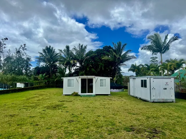 a view of a house with a yard and a large tree