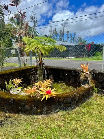 a view of a bunch of flowers and tree