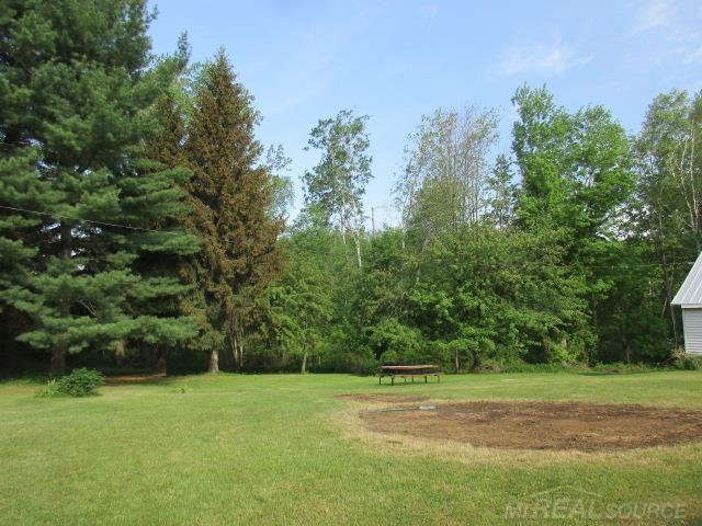 3155 Applegate Road Applegate, MI 48401 - Photo 8 of 36