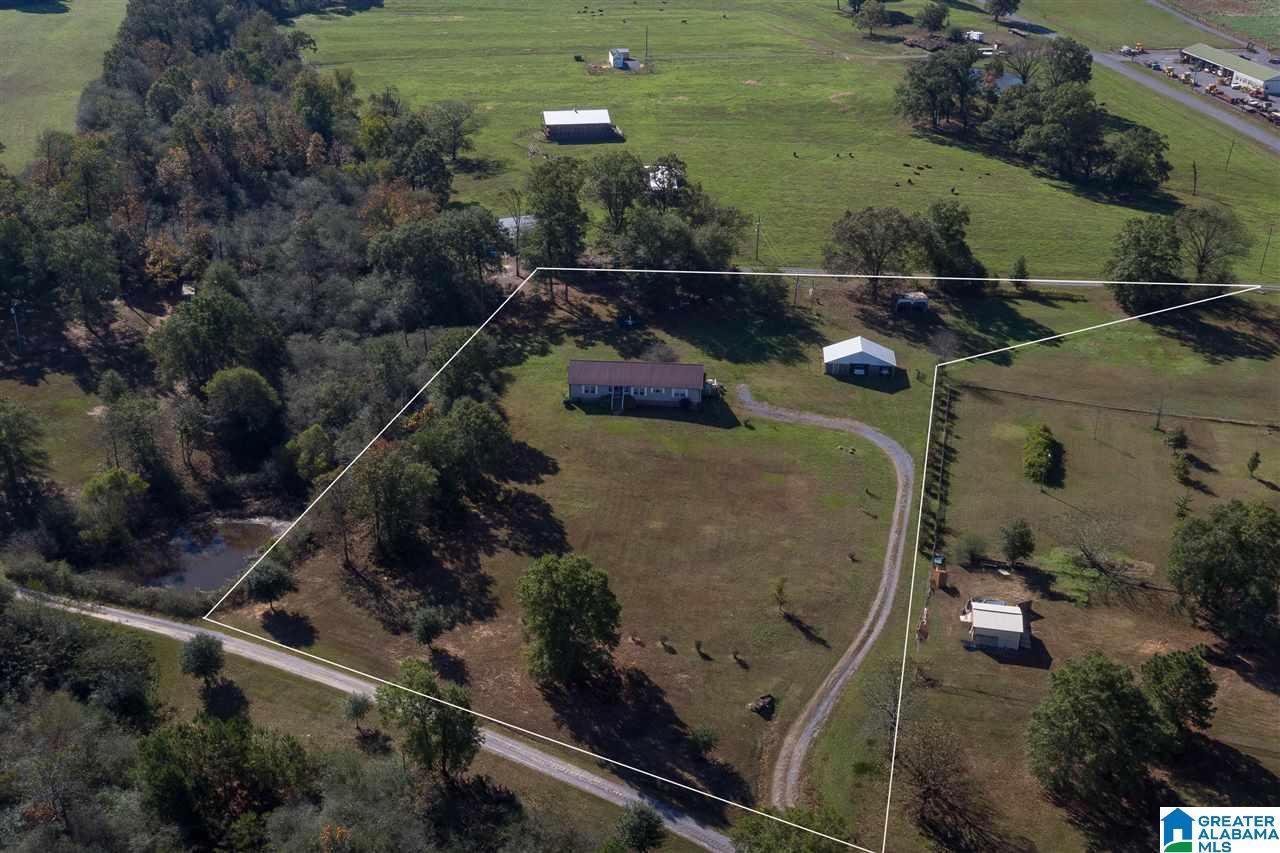 3092 Black Road Blountsville, AL 35031 - Photo 43 of 48