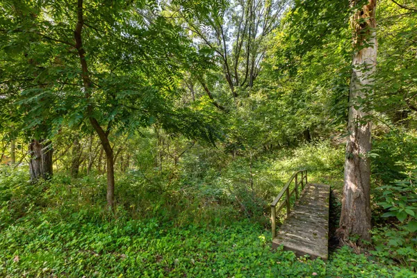 $349,000 | 9-a211 Walnut Lane, Apple River, IL 61001