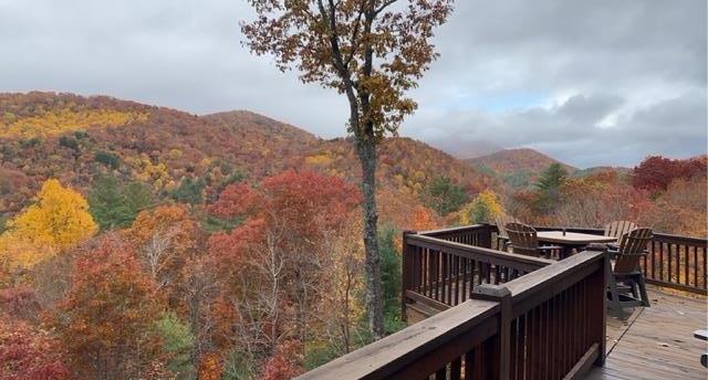 101 Falling Rock Road Blue Ridge, GA 30513 - Photo 6 of 64 Photo provided by seller