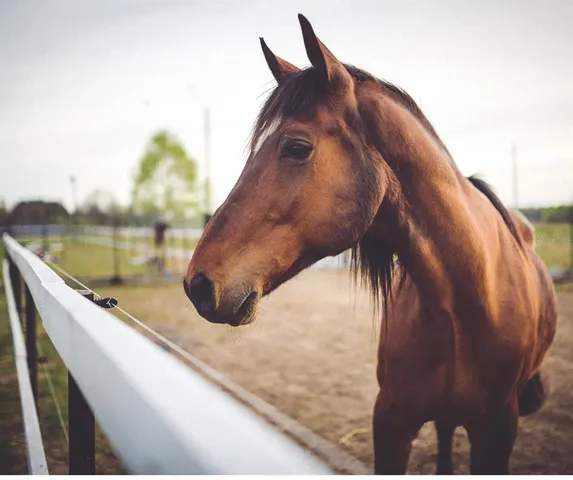 $265,000 | 0 Shooting Star Court, New Port Richey, FL 34655
