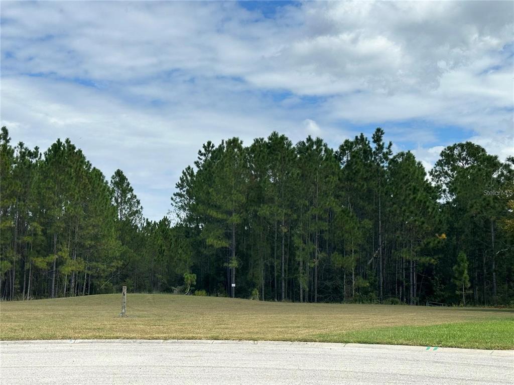 0 Shooting Star Court New Port Richey, FL 34655 - Photo 7 of 23 a view of a swimming pool with a big yard and large trees