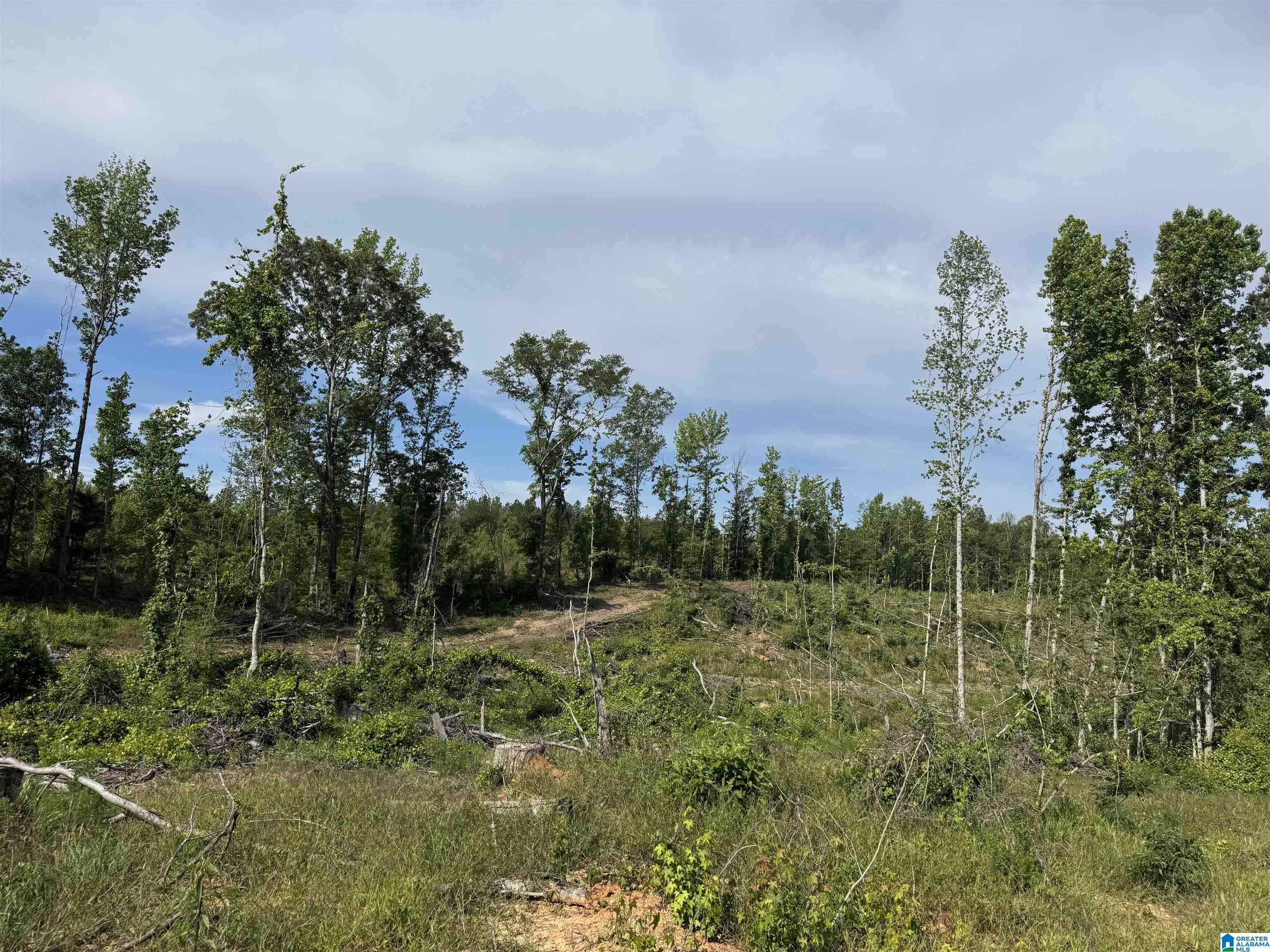 Active Road, Unit 6 Lawley, AL 36793 - Photo 8 of 31 Gallery Image 8
