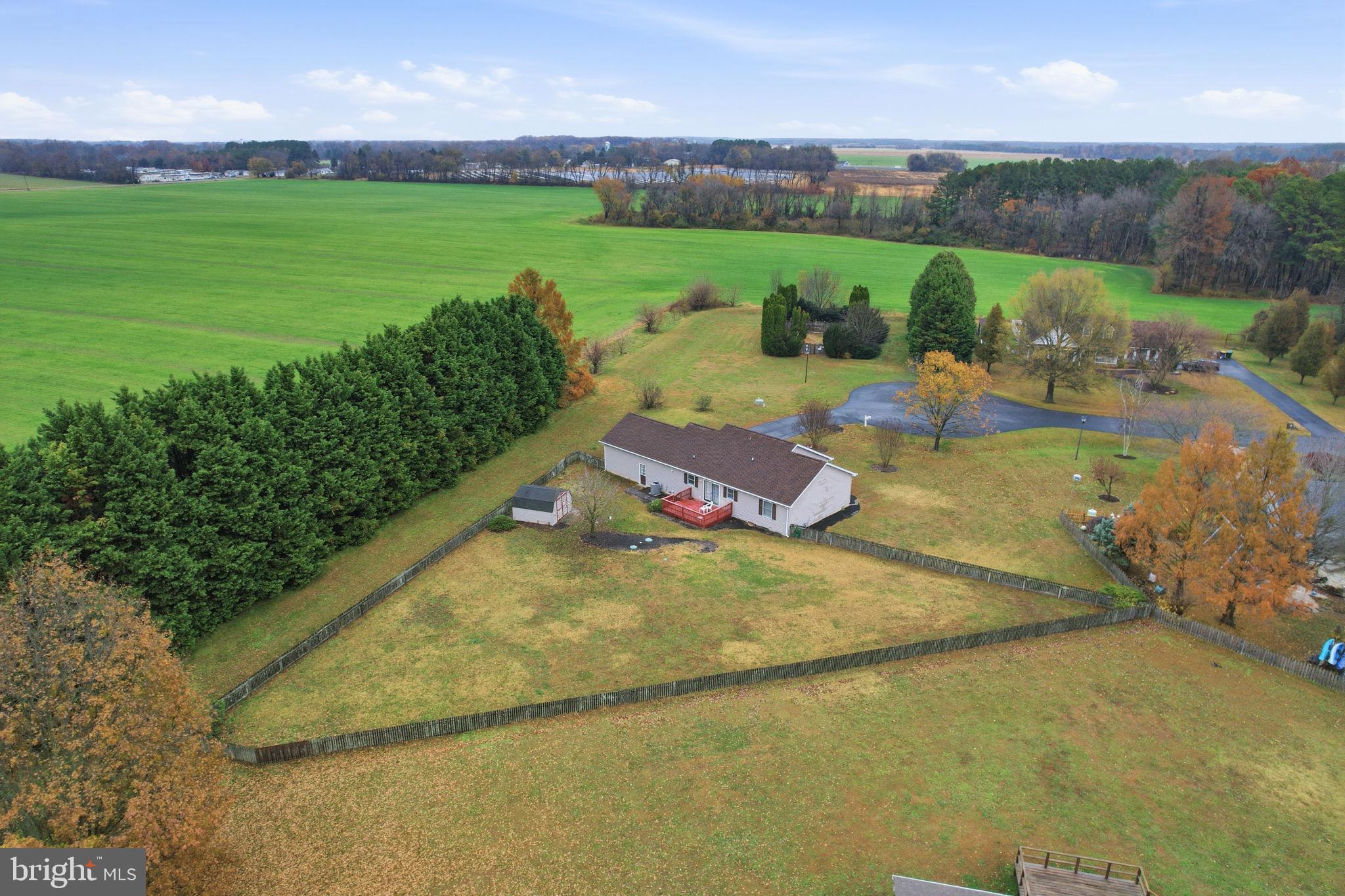 251 Misty Ridge Drive Magnolia, DE 19962 - Photo 27 of 33 a view of a outdoor space