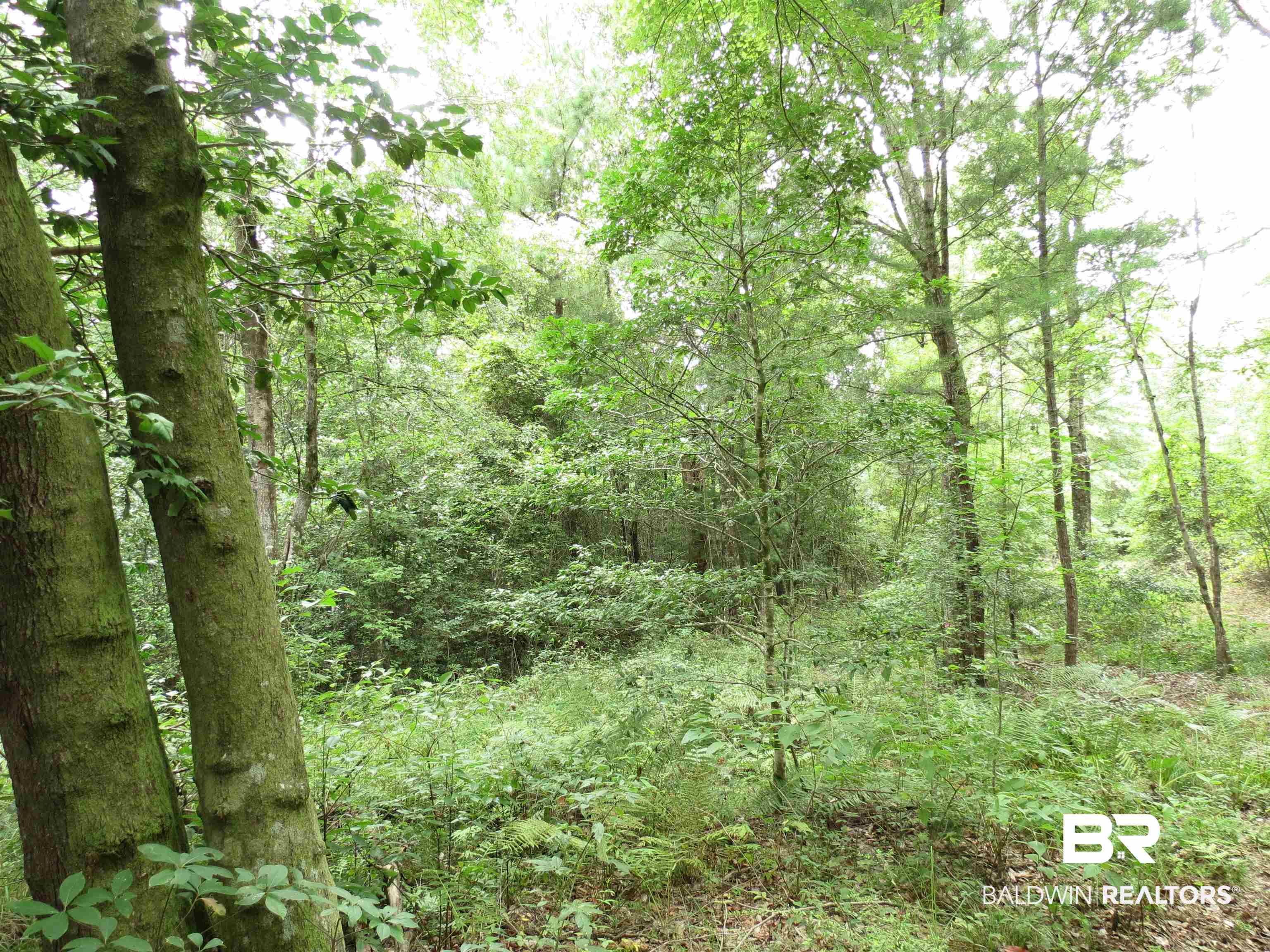 1045 Poole Road Castleberry, AL 36432 - Photo 8 of 27 Poole Road