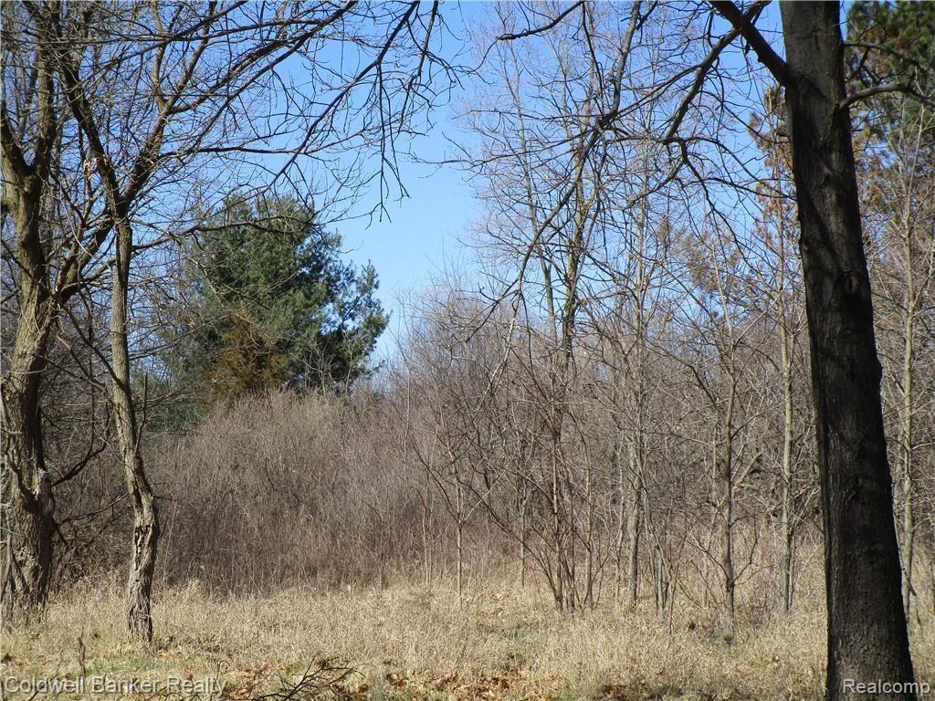 0 Gregory Road Lake Orion, MI 48359 - Photo 2 of 5