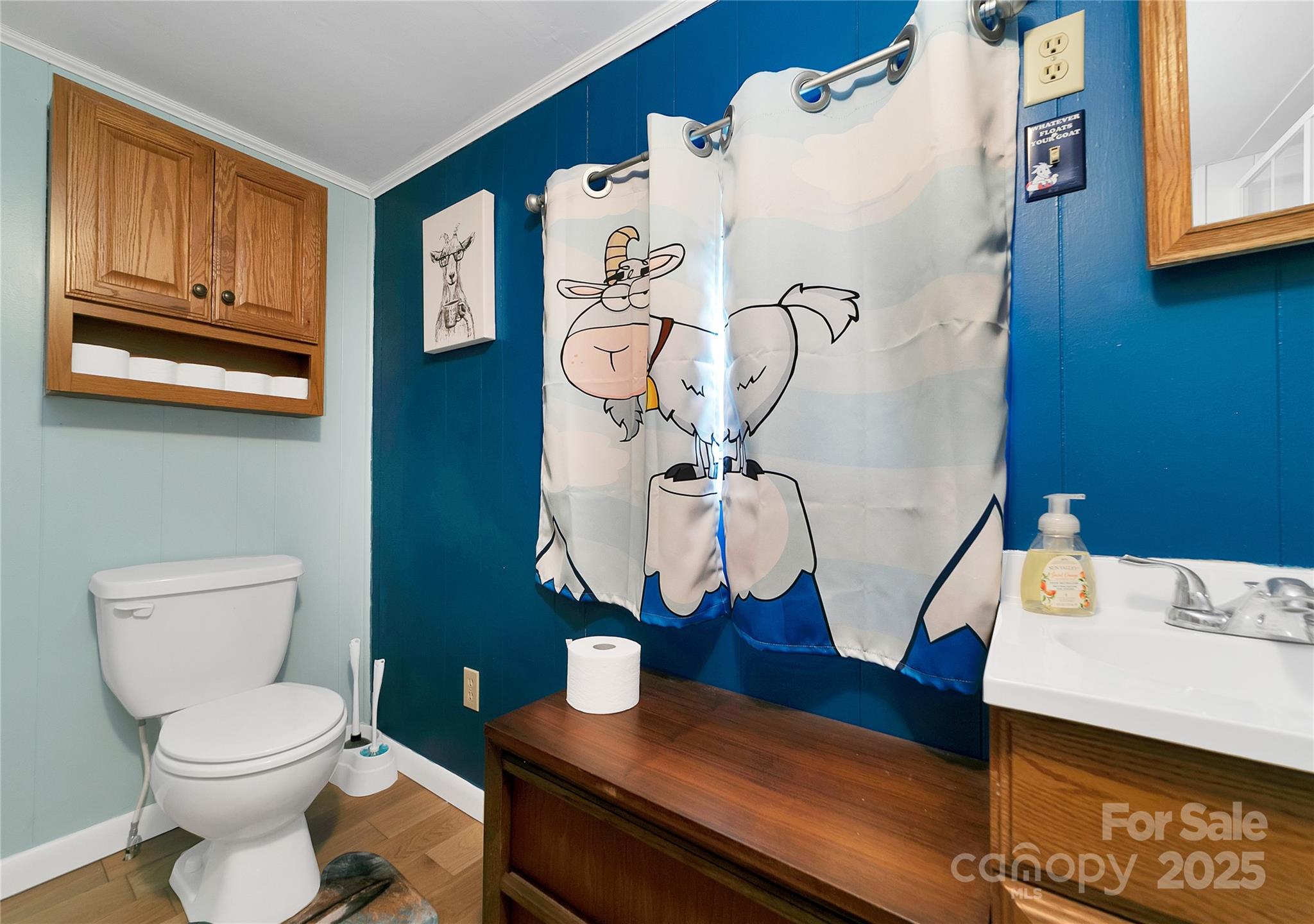 626 Fairview Loop Hot Springs, NC 28743 - Photo 22 of 44 a bathroom with a toilet and a mirror