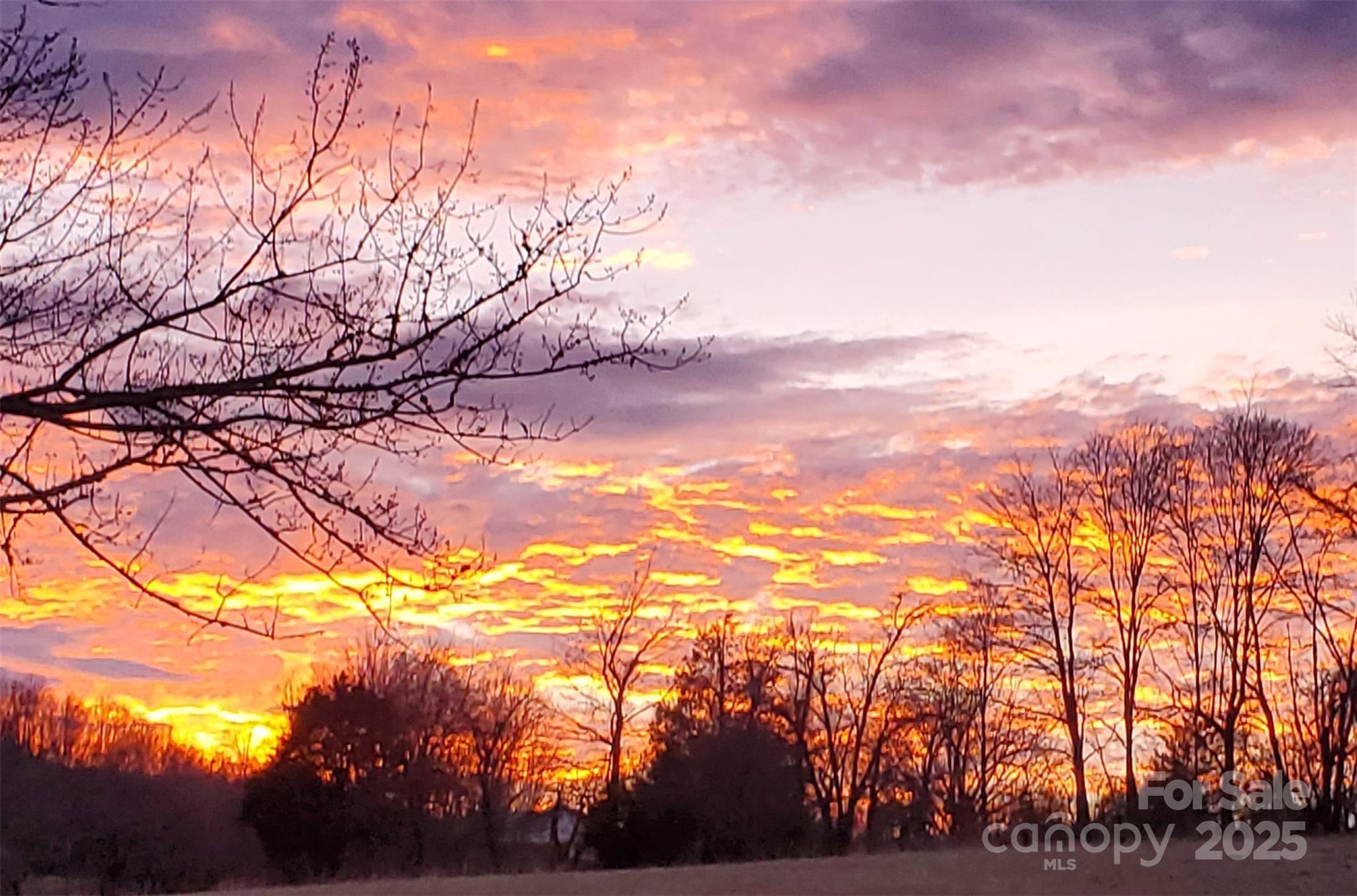 626 Fairview Loop Hot Springs, NC 28743 - Photo 38 of 44 a view of a field
