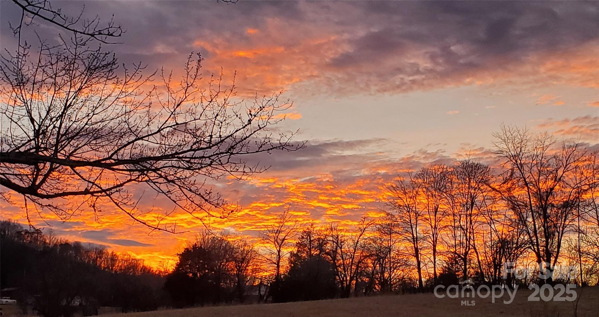 626 Fairview Loop Hot Springs, NC 28743 - Photo 39 of 44