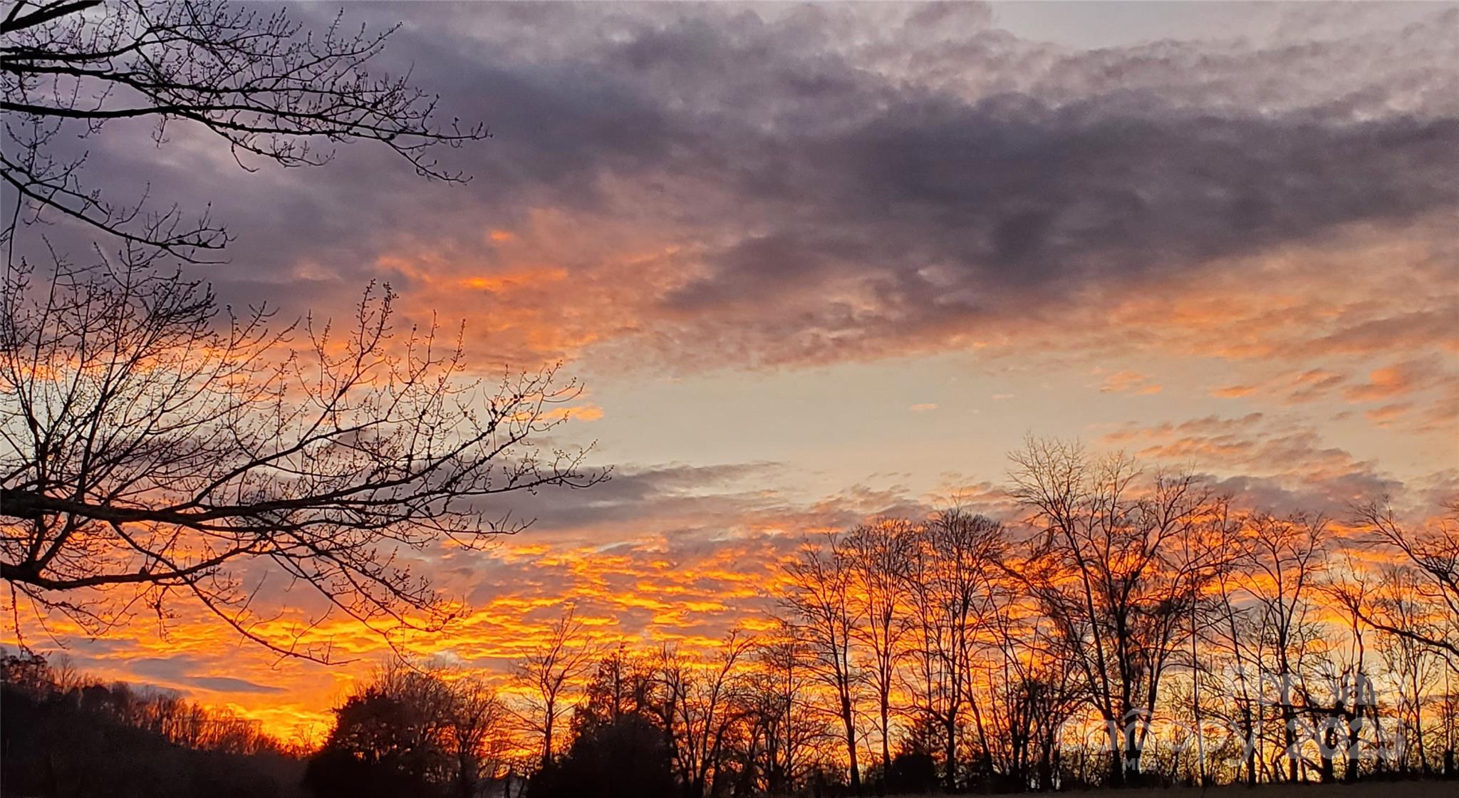 626 Fairview Loop Hot Springs, NC 28743 - Photo 40 of 44 a view of mountain view with lots of trees
