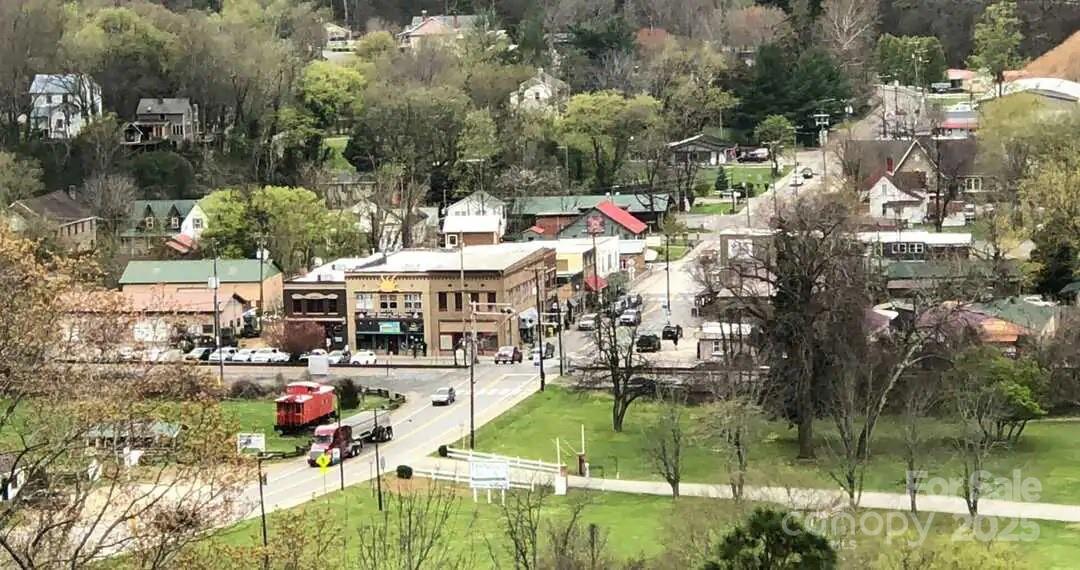 626 Fairview Loop Hot Springs, NC 28743 - Photo 44 of 44 a view of outdoor