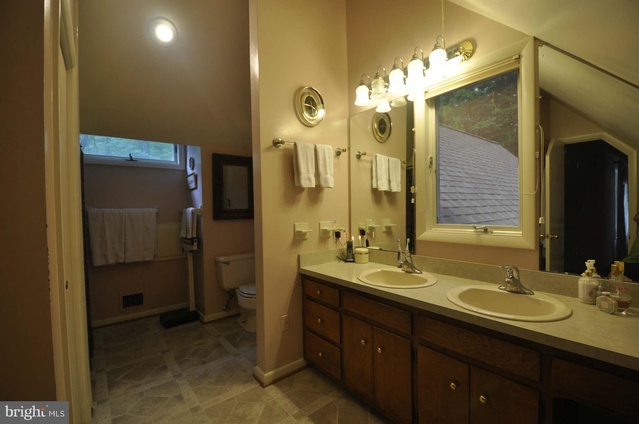 2520 Daisy Road Woodbine, MD 21797 - Photo 11 of 30 Bath (Master)