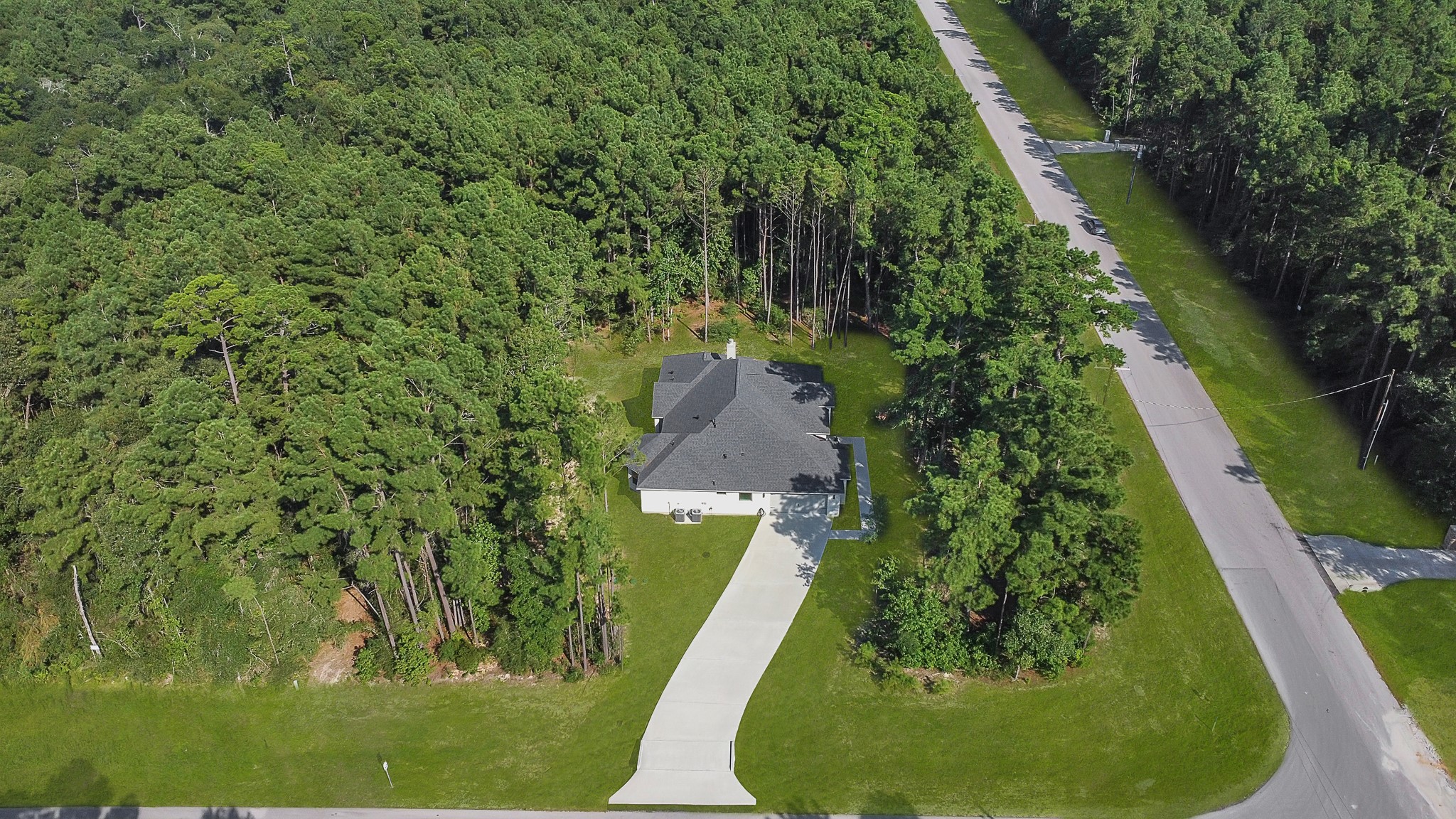 104 Inscription Lane Huntsville, TX 77340 - Photo 35 of 39 Live in the forest!