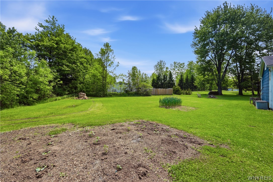 8840 Fisk Road Royalton, NY 14001 - Photo 39 of 46