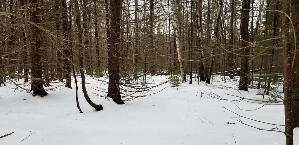 Tbd Campbell Road Harmony, ME 04942 - Photo 7 of 14 Lot