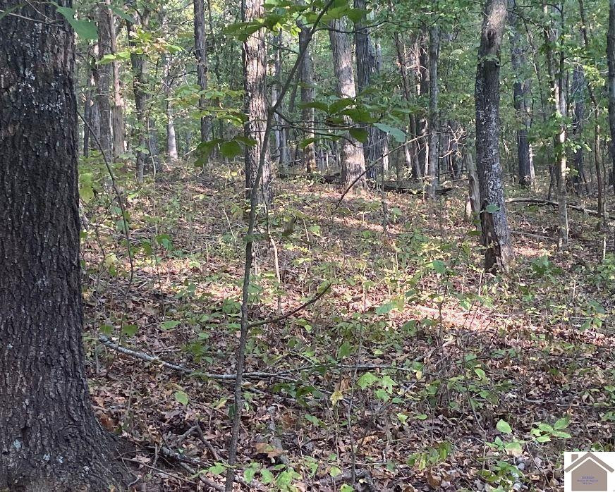 0 Pleasant Hill Road Princeton, KY 42445 - Photo 12 of 23 Photo 13