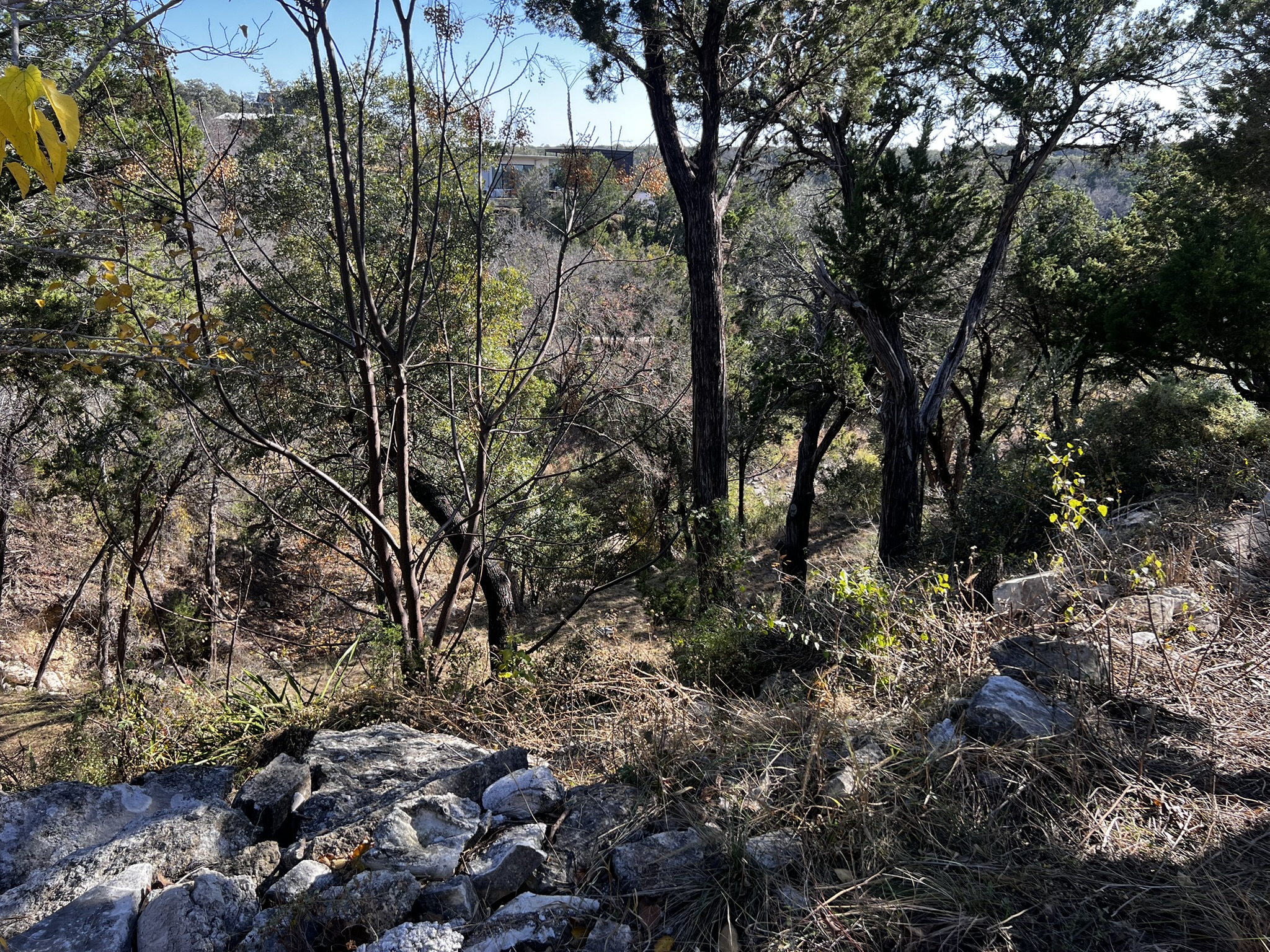 26809 Blue Cove Road Marble Falls, TX 78654 - Photo 3 of 20 view from top of lot