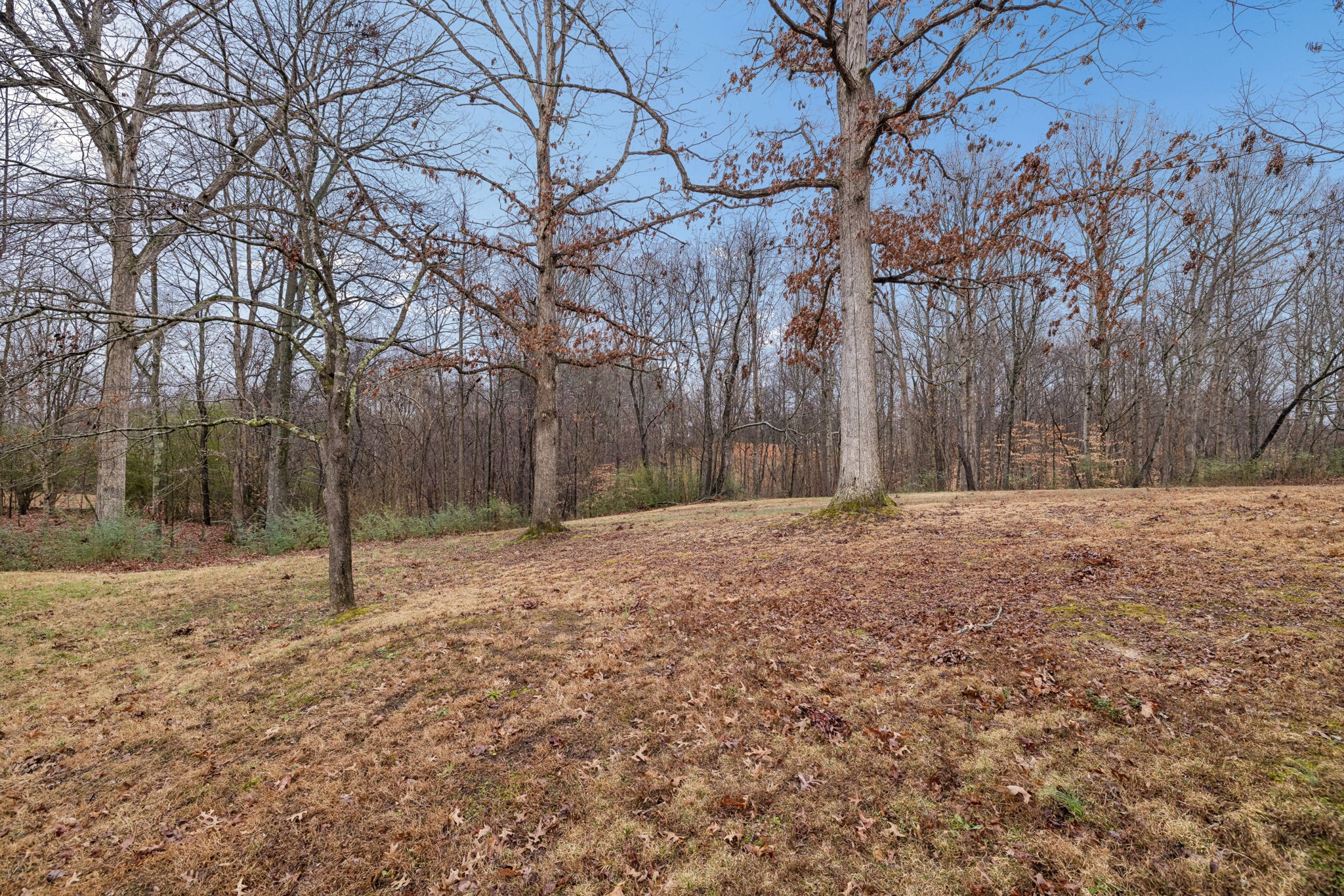 1950 Bearwallow Road Ashland City, TN 37015 - Photo 39 of 47