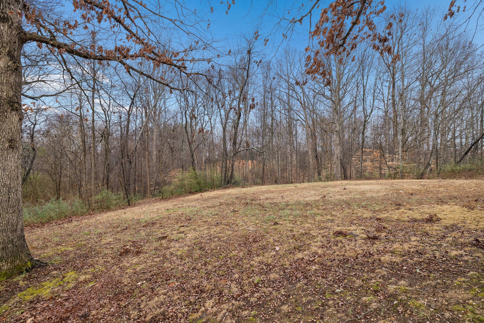 1950 Bearwallow Road Ashland City, TN 37015 - Photo 40 of 47