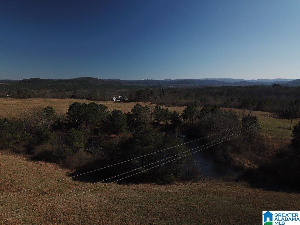 0 Posey Road, Unit TRACT 2 Blountsville, AL 35031 - Photo 6 of 9