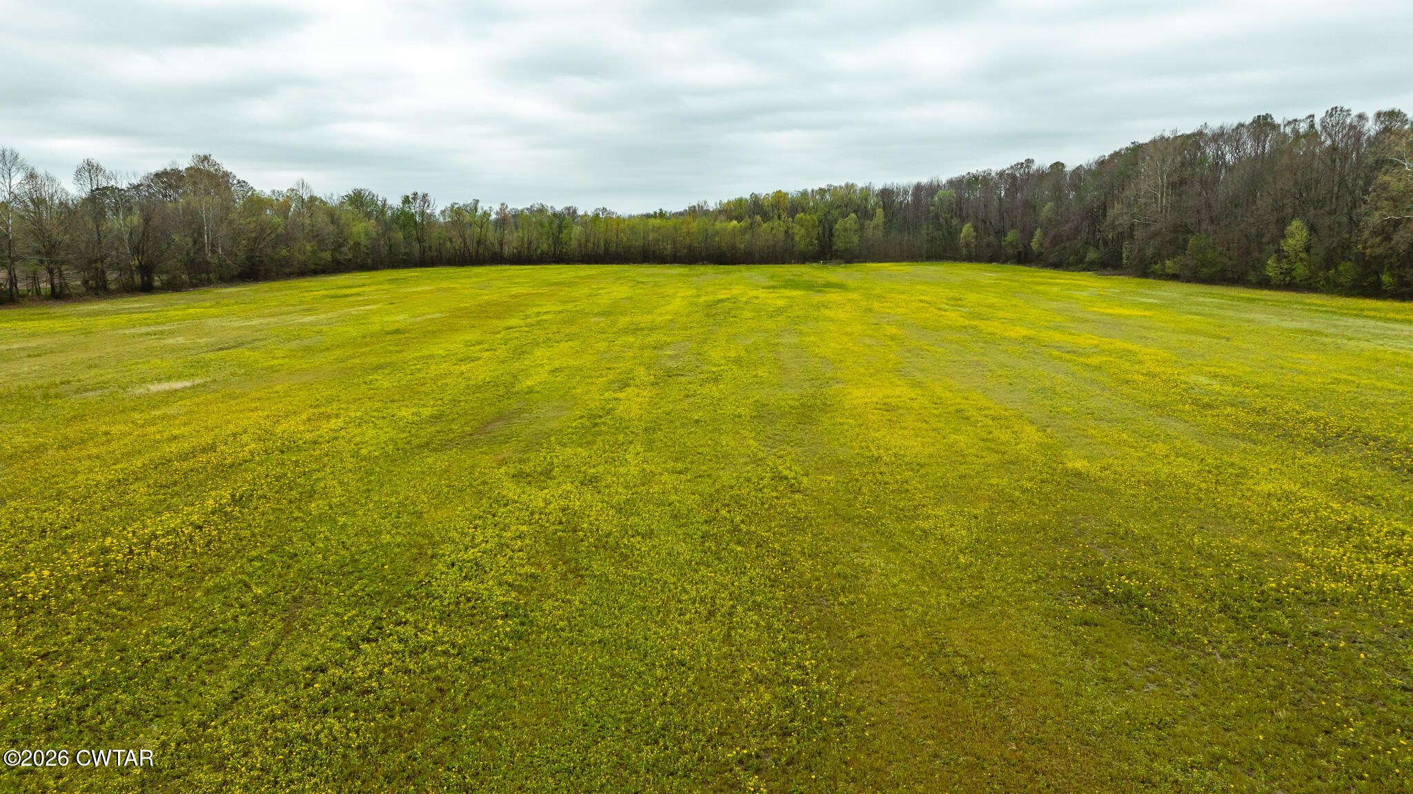 0 Old Troy Road Martin, TN 38237 - Photo 6 of 12 a view of an ocean view