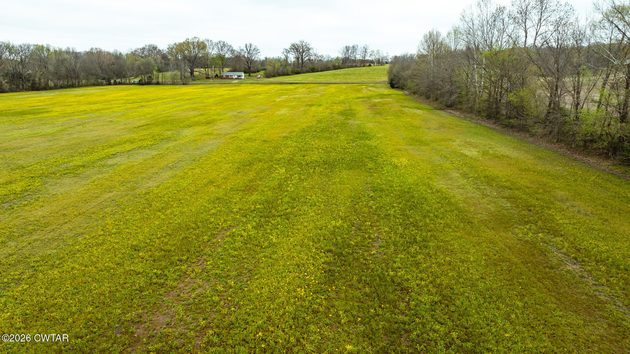 0 Old Troy Road Martin, TN 38237 - Photo 7 of 12