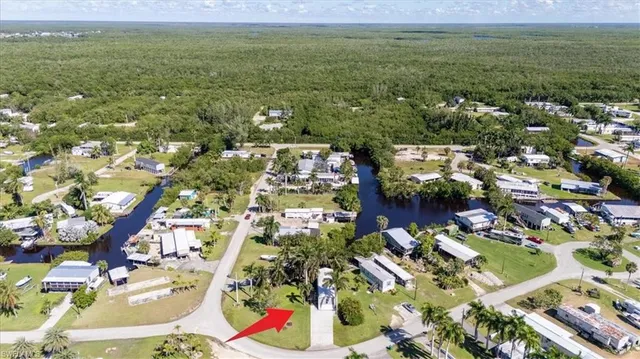 a view of a lush green space